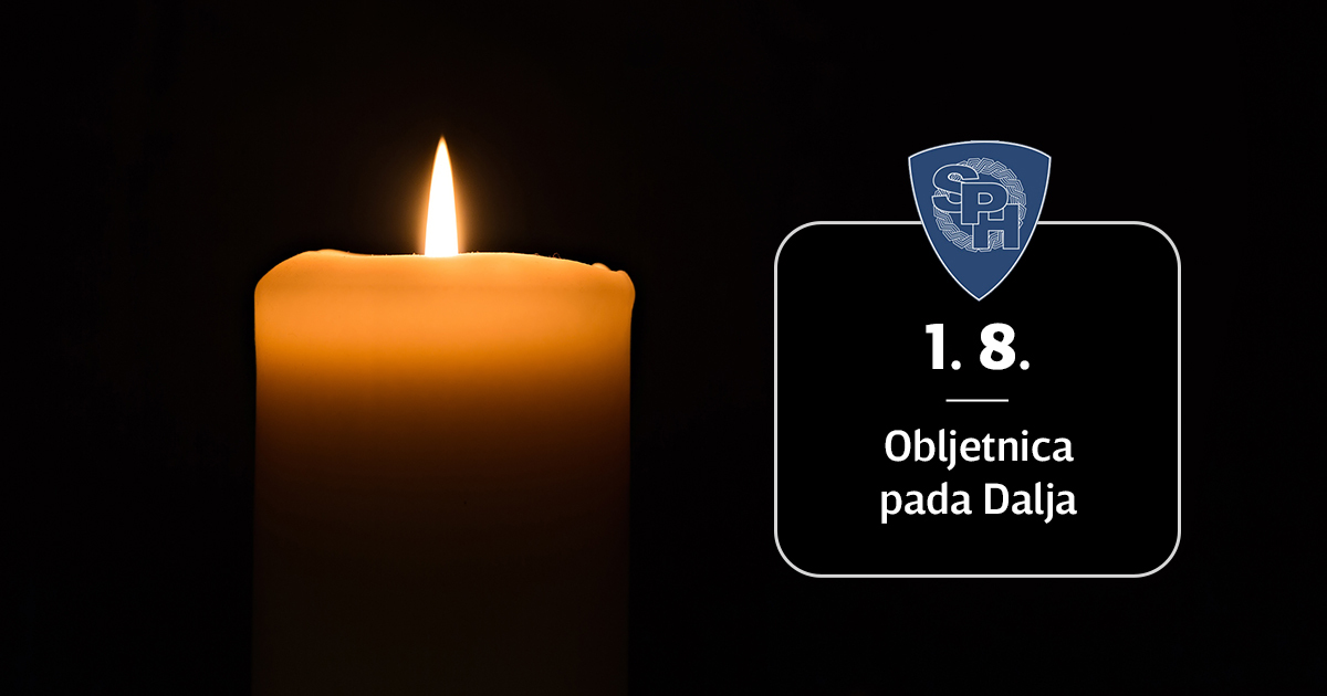 Obljetnica pada Dalja